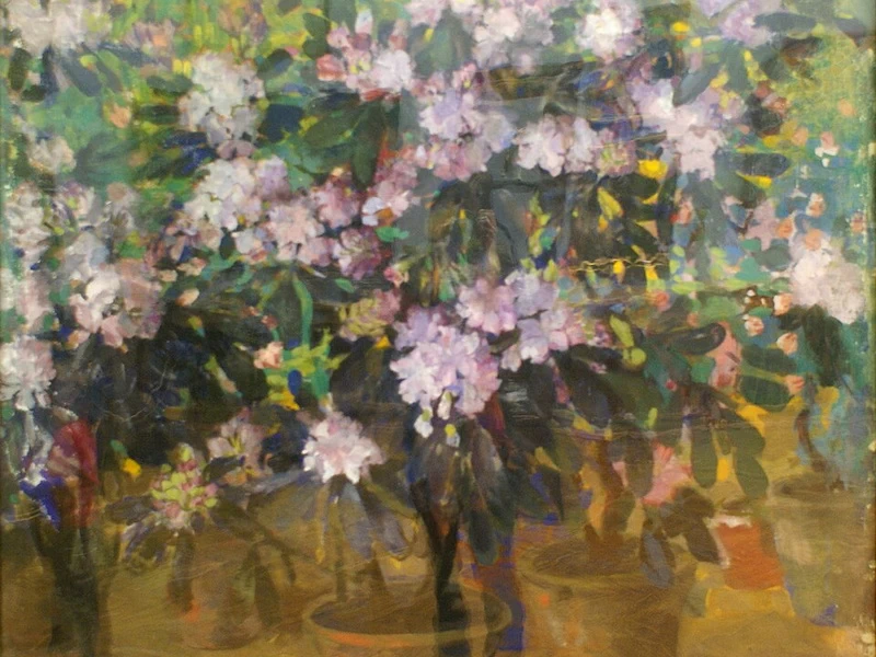 1880-Nikolaj Nikolaevič Sapunov - Rododendro